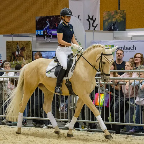 Michael Graf - MIKEs FotoGRAFie - Donnerstag NM (46).jpg