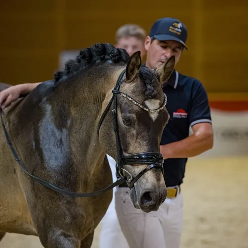 Michael Graf - MIKEs FotoGRAFie - Donnerstag NM (58).jpg