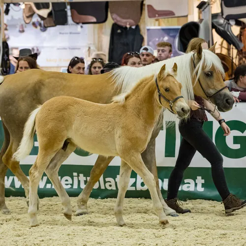 Michael Graf - MIKEs FotoGRAFie - Donnerstag NM (79).jpg