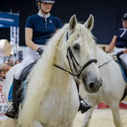 Michael Graf - MIKEs FotoGRAFie - Donnerstag NM (138).jpg