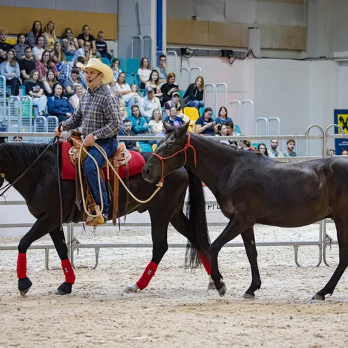 Michael Graf - MIKEs FotoGRAFie - Freitag NM (13).jpg