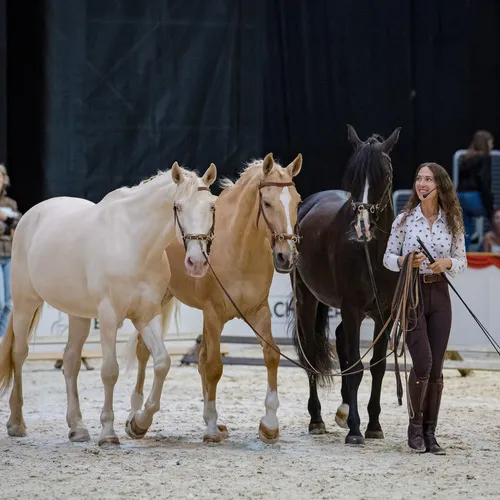 MIchael Graf - MIKEs FotoGRAFie - Freitag VM&NM (69).jpg