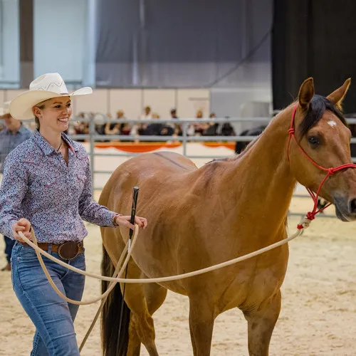 Michael Graf - MIKEs FotoGRAFie - Samstag Nachmittag (5).jpg