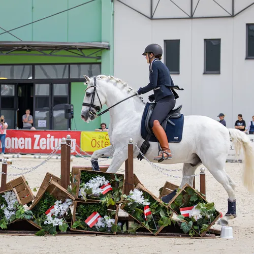 Michael Graf - MIKEs FotoGRAFie - Sonntag Nachmittag (2).jpg