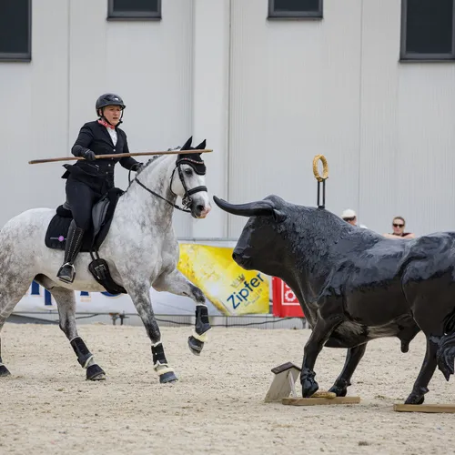 Michael Graf - MIKEs FotoGRAFie - Sonntag Nachmittag (3).jpg