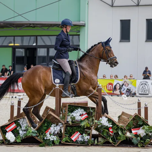 Michael Graf - MIKEs FotoGRAFie - Sonntag Nachmittag (13).jpg