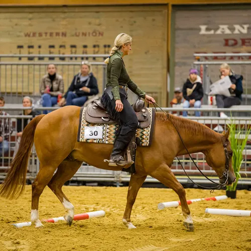 PFERD25_Do_VM_Quelle Michael Graf-MIKEs FotoGRAFie (22).jpg