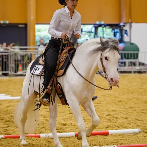 PFERD25_Do_VM_Quelle Michael Graf-MIKEs FotoGRAFie (113).jpg