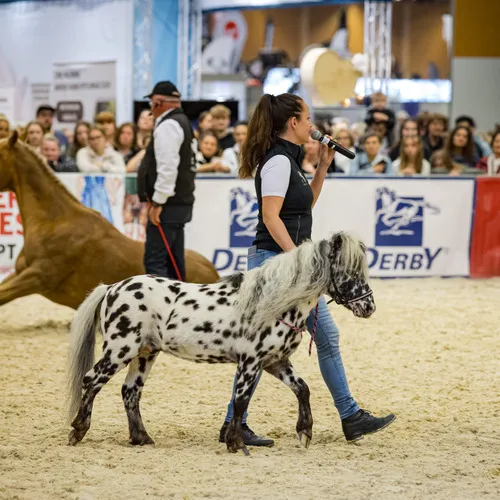 PFERD25_Do_VM_Quelle Michael Graf-MIKEs FotoGRAFie (93).jpg