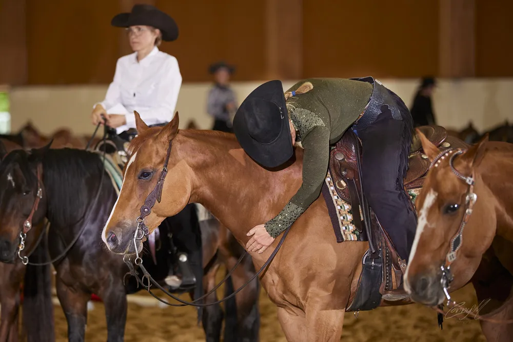 Western Horse Show Wels 2025