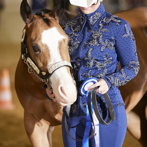 PFERD25_Western_Bildquelle connymphotography (9).jpg