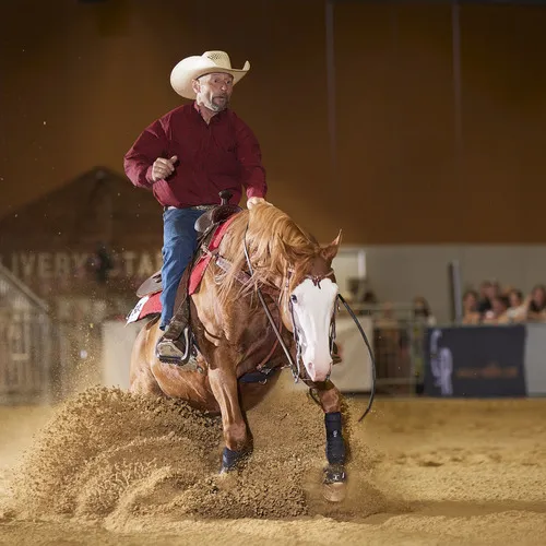 PFERD25_Western_REINING_Bildquelle connymphotography (3).jpg