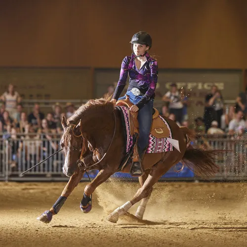 PFERD25_Western_REINING_Bildquelle connymphotography (2).jpg