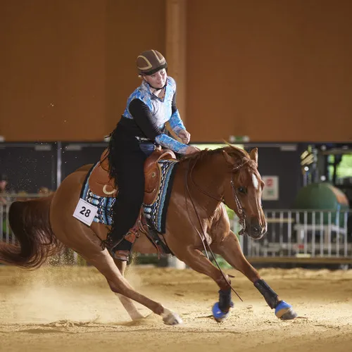 PFERD25_Western_REINING_Bildquelle connymphotography (6).jpg