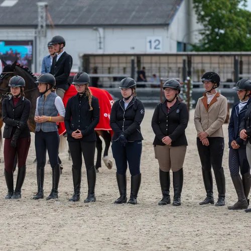 PFERD25_Working Equitation_Quelle Lukas Ennsmann (8).jpeg