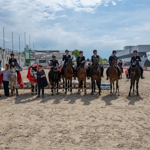 PFERD25_Working Equitation_Quelle Lukas Ennsmann (1).jpeg