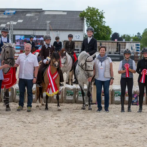 PFERD25_Working Equitation_Quelle Lukas Ennsmann (4).jpeg