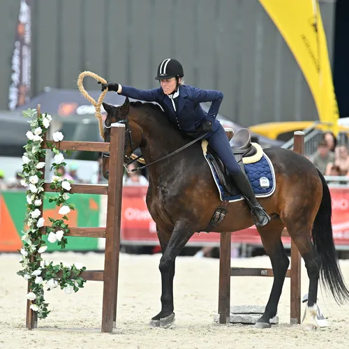 PFERD25_Working Equitation_Quelle TEAM Myrtill (4).JPG
