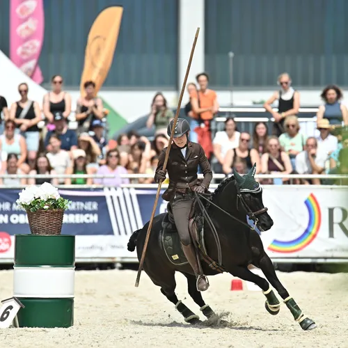 PFERD25_Working Equitation_Quelle TEAM Myrtill (5).JPG