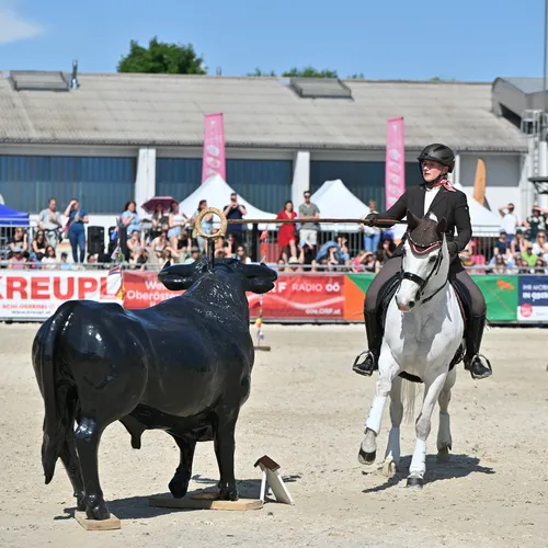 PFERD25_Working Equitation_Quelle TEAM Myrtill (1).JPG