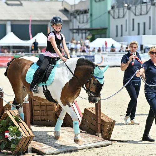 PFERD25_Working Equitation_Quelle TEAM Myrtill (3).JPG