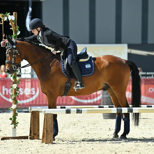 PFERD25_Working Equitation_Quelle TEAM Myrtill (2).JPG