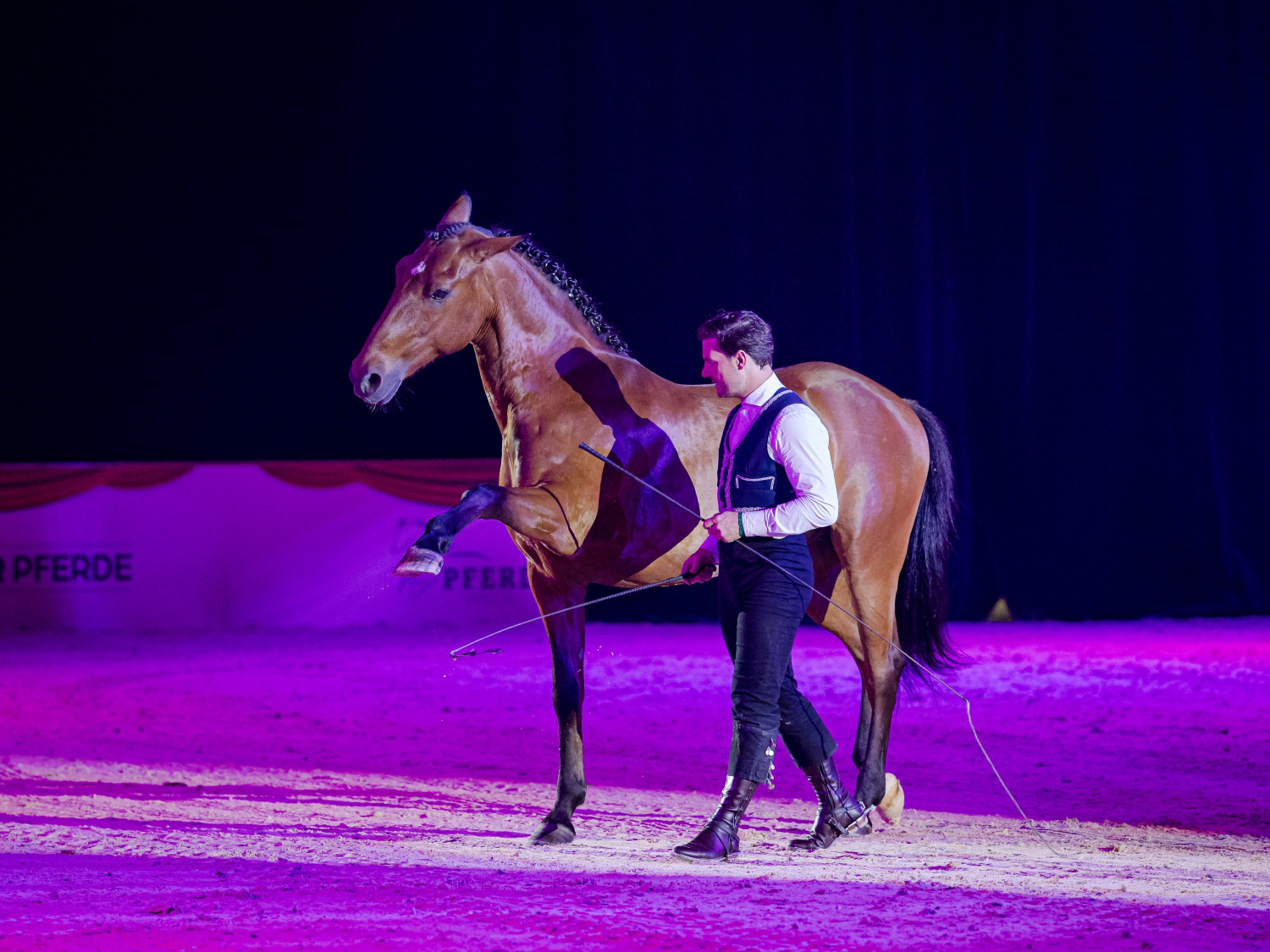 Michael Graf - MIKEs FotoGRAFie - Samstag Show.jpg