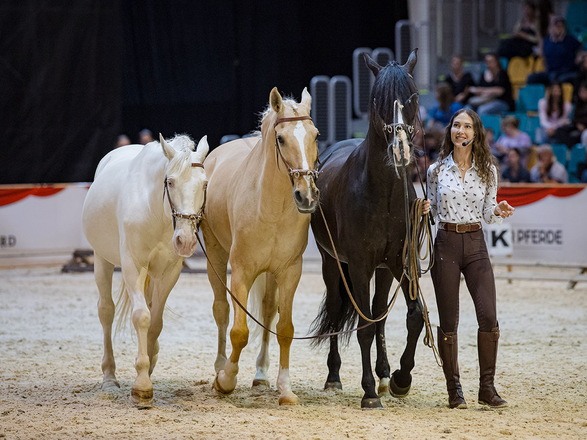 Willkommen zur  PFERD Wels 2026!