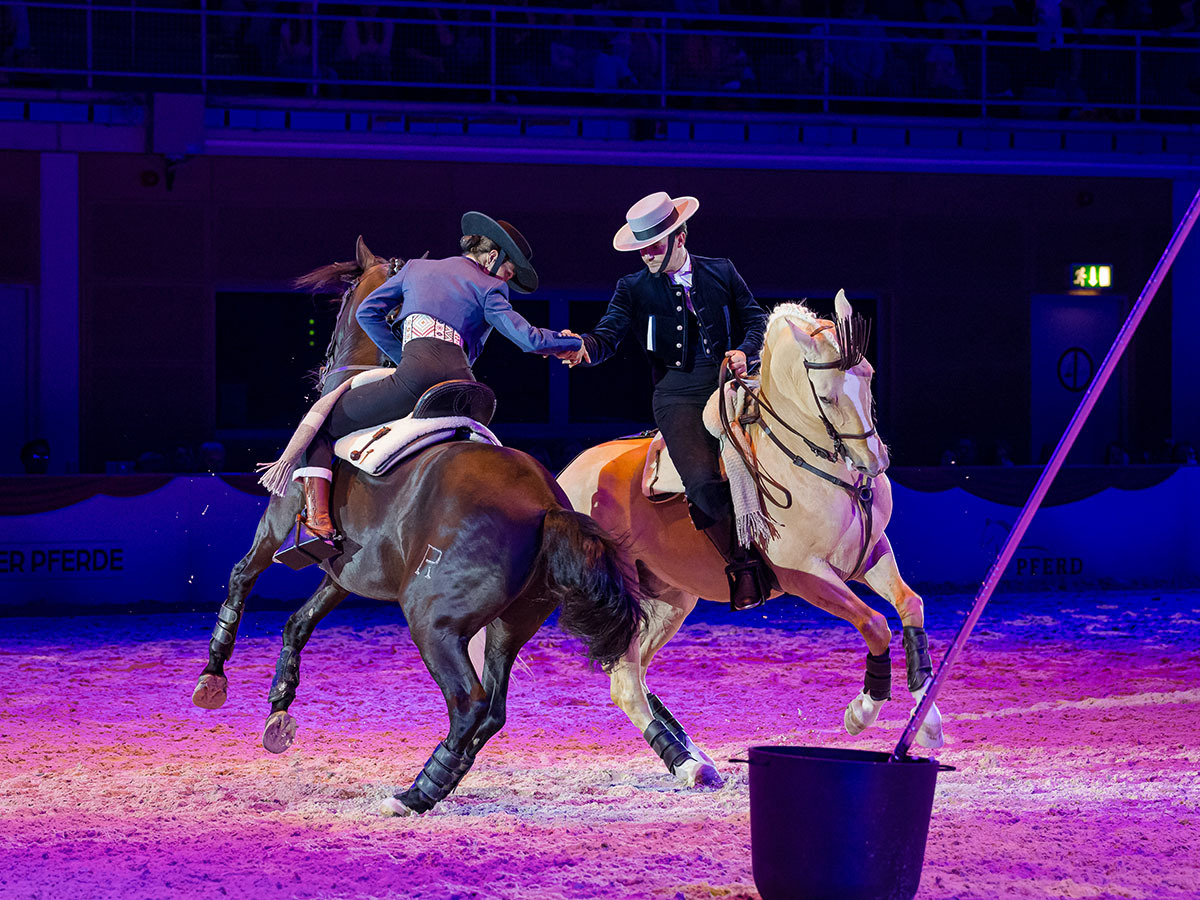 NACHT DER PFERDE –  The Power of Emotions!