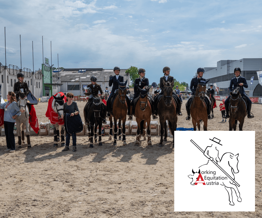 Working Equitation Turnier