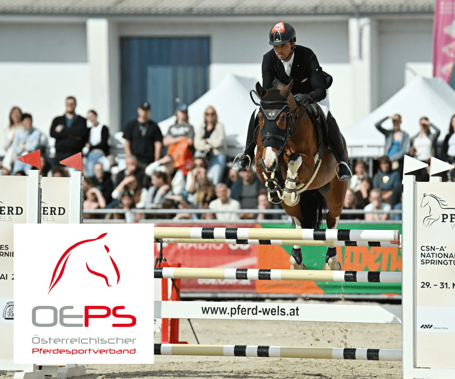 Nationales Springturnier CSN-A*