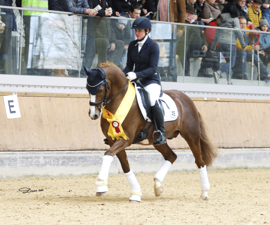 Verkaufs- und Zuchtschauen 2026
