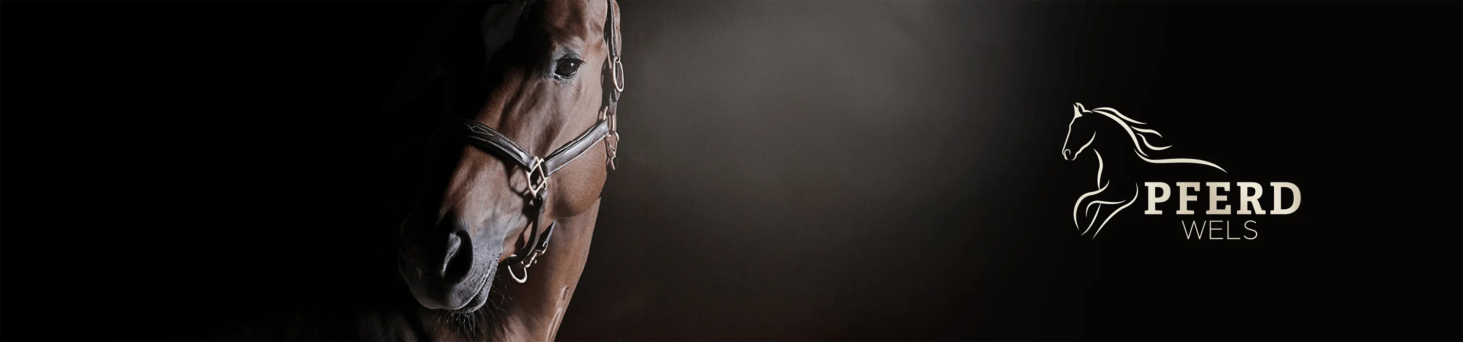 pferdwels.png