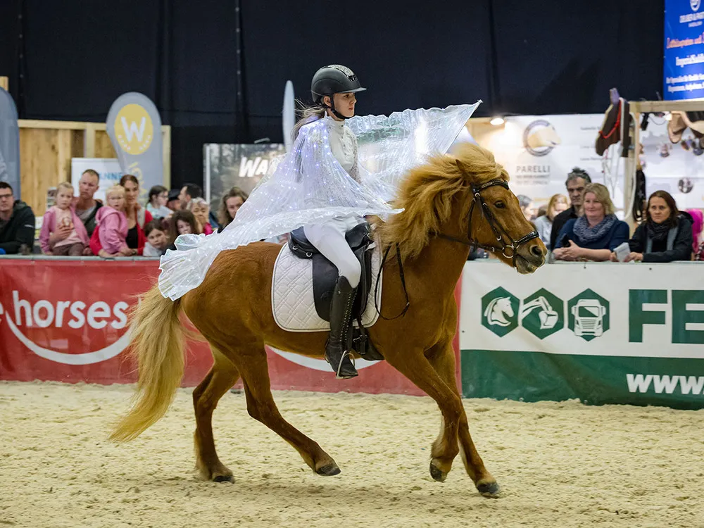 Impressionen Pferd Wels 2025