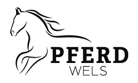 PFERD Wels - schwarz