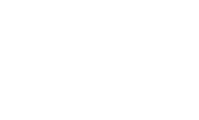PFERD Wels - weiß