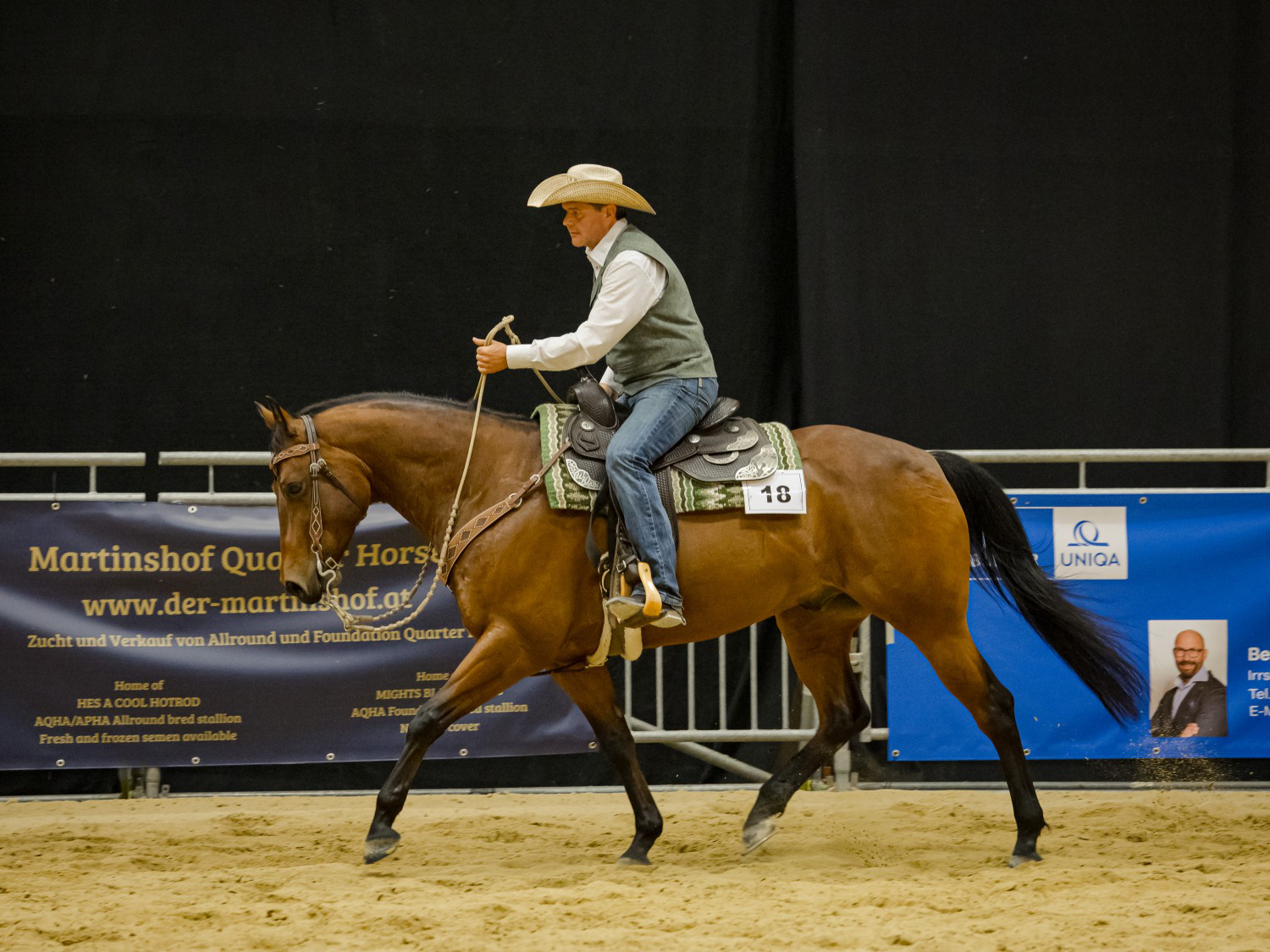 AQHA-Turnier (international)