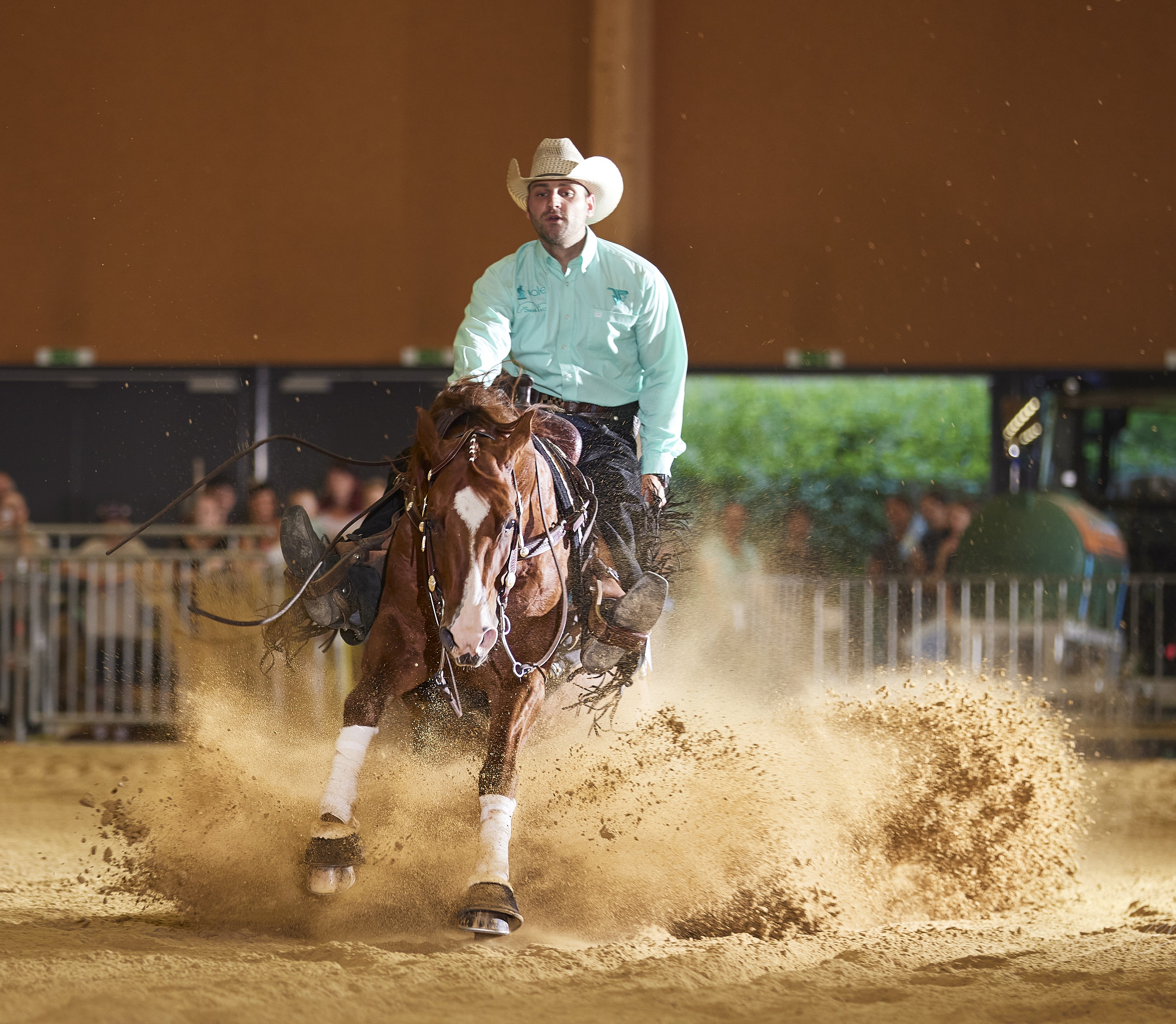 NRHA Turnier (international)