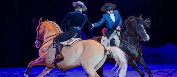 4 Shows „NACHT DER PFERDE – The Power of Emotions“