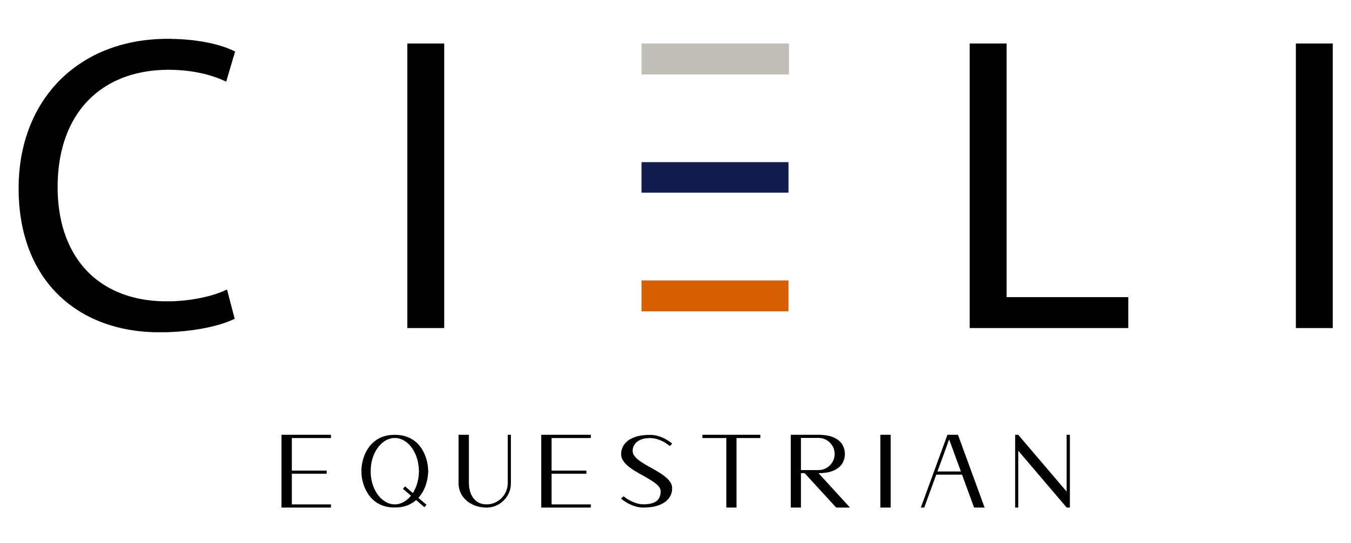 $data['details']['name']