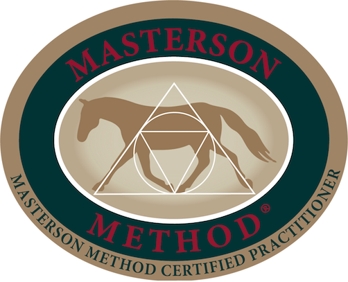 $data['details']['name']