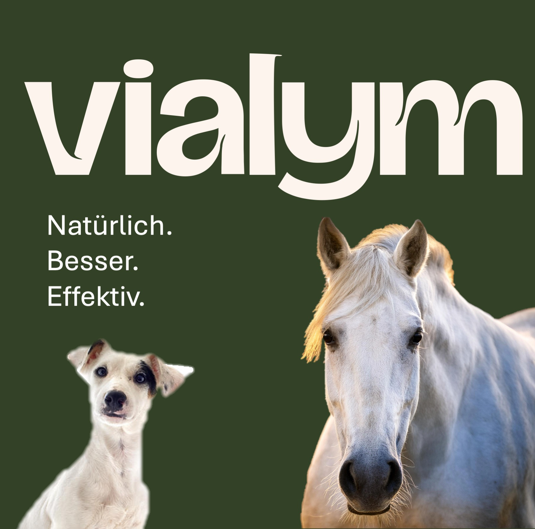 $data['details']['name']