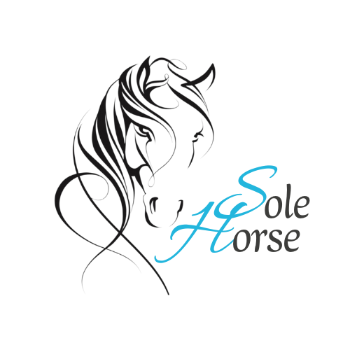 $data['details']['name']