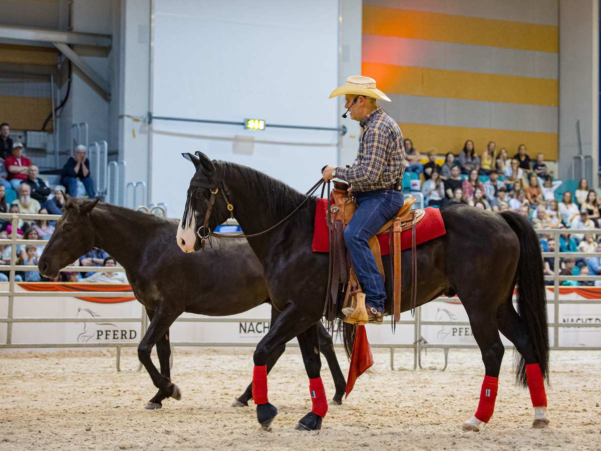 Michael Graf - MIKEs FotoGRAFie - Freitag NM (11).jpg