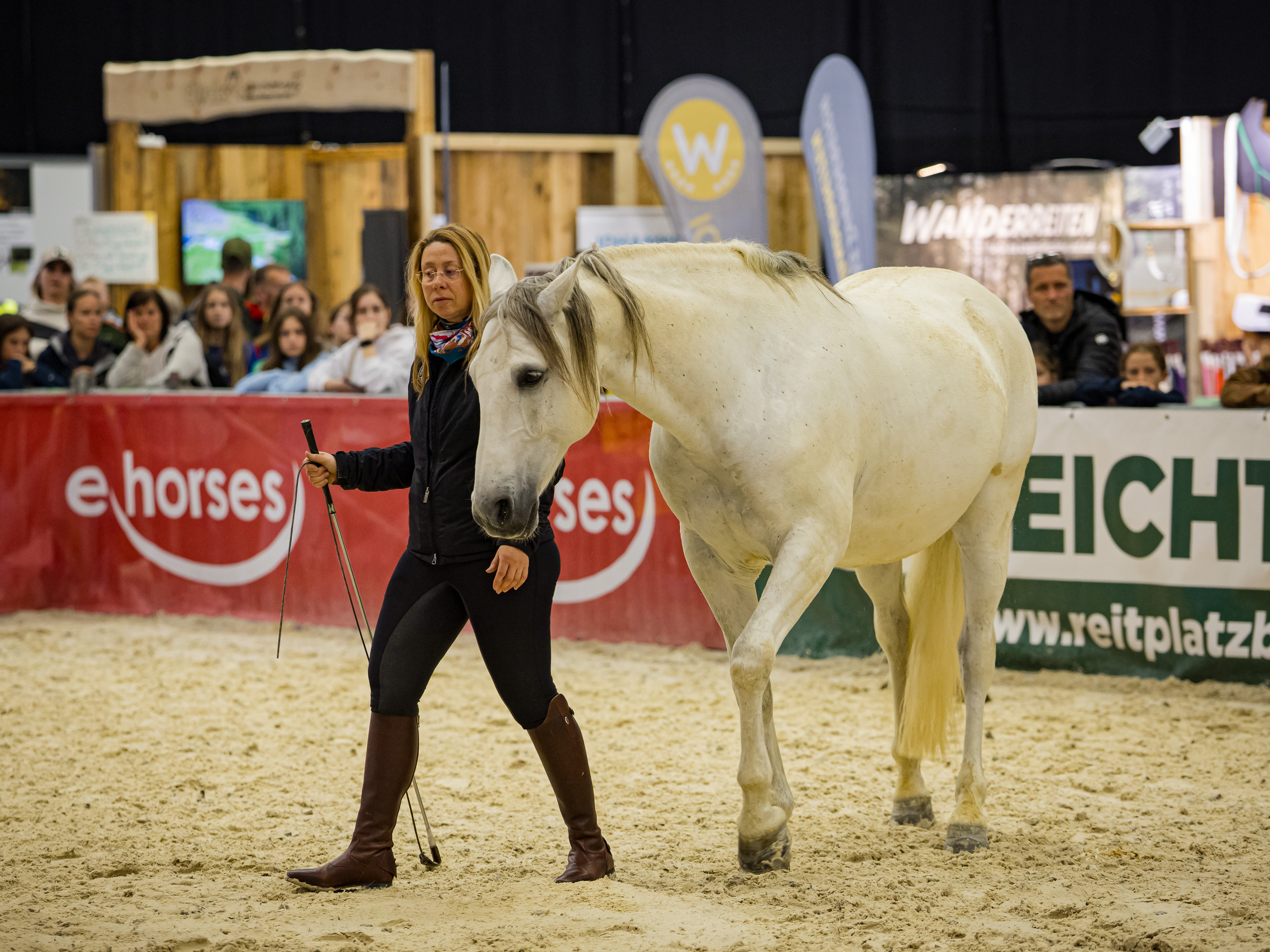 Parelli - von der Kunst, Pferde zu vestehen