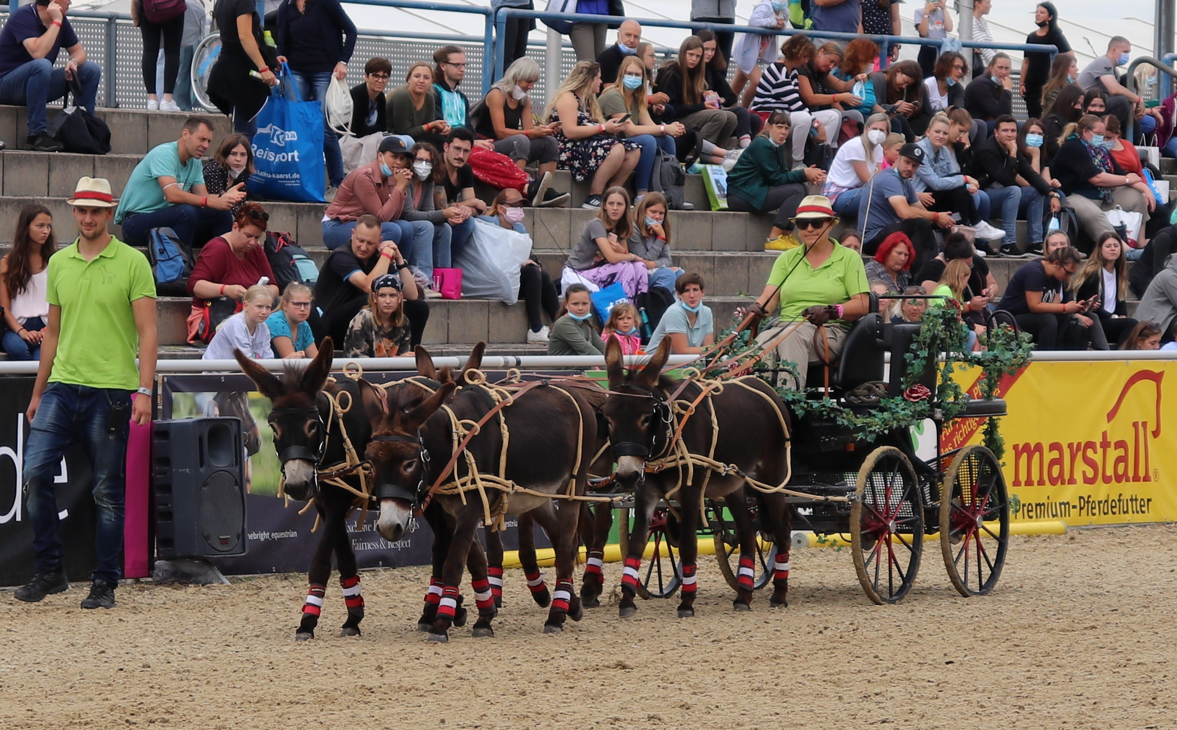 Langohren in Aktion – IA-Austria, DER Österreichische Eselverein