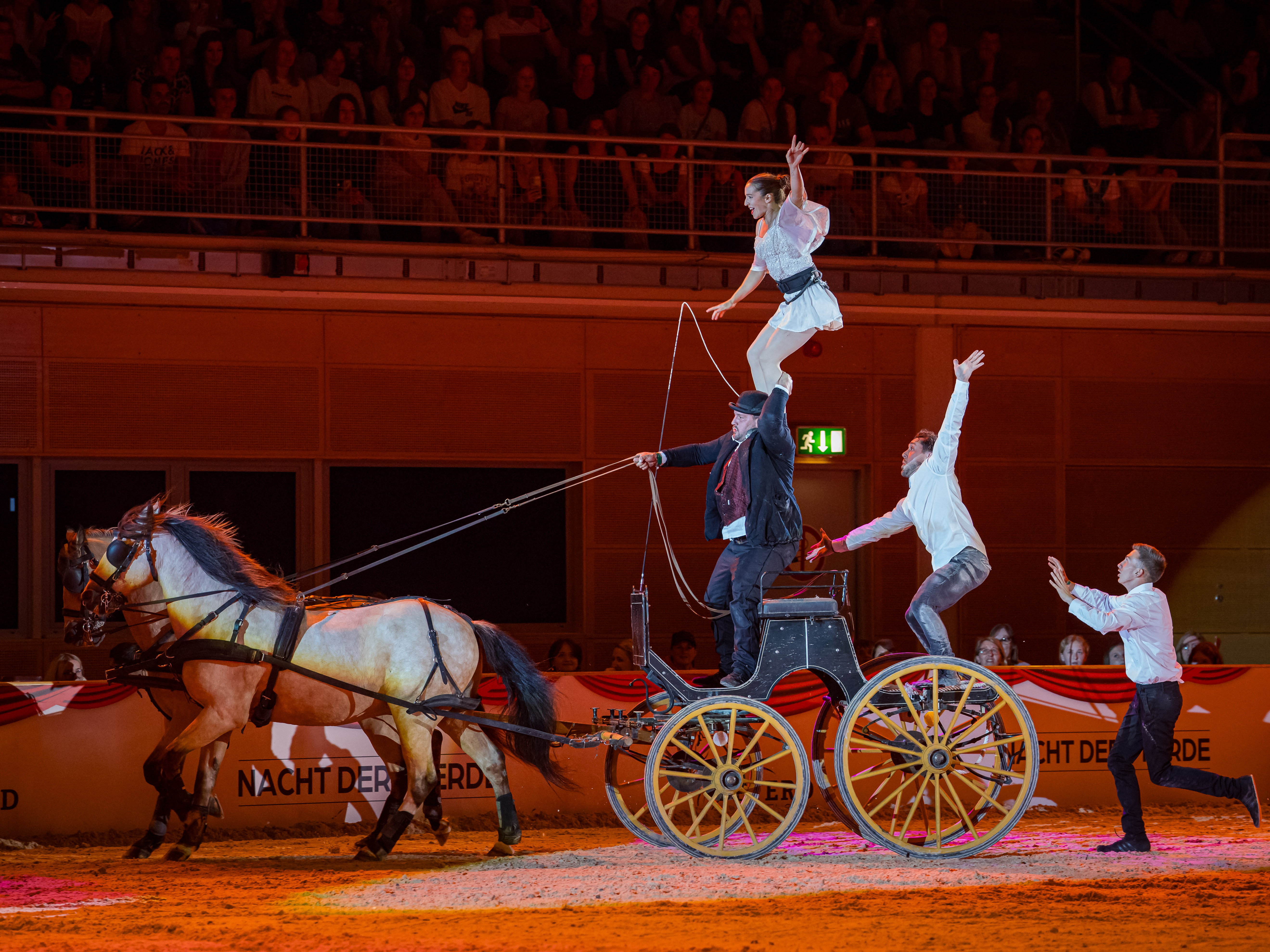 Familienshow: NACHT DER PFERDE