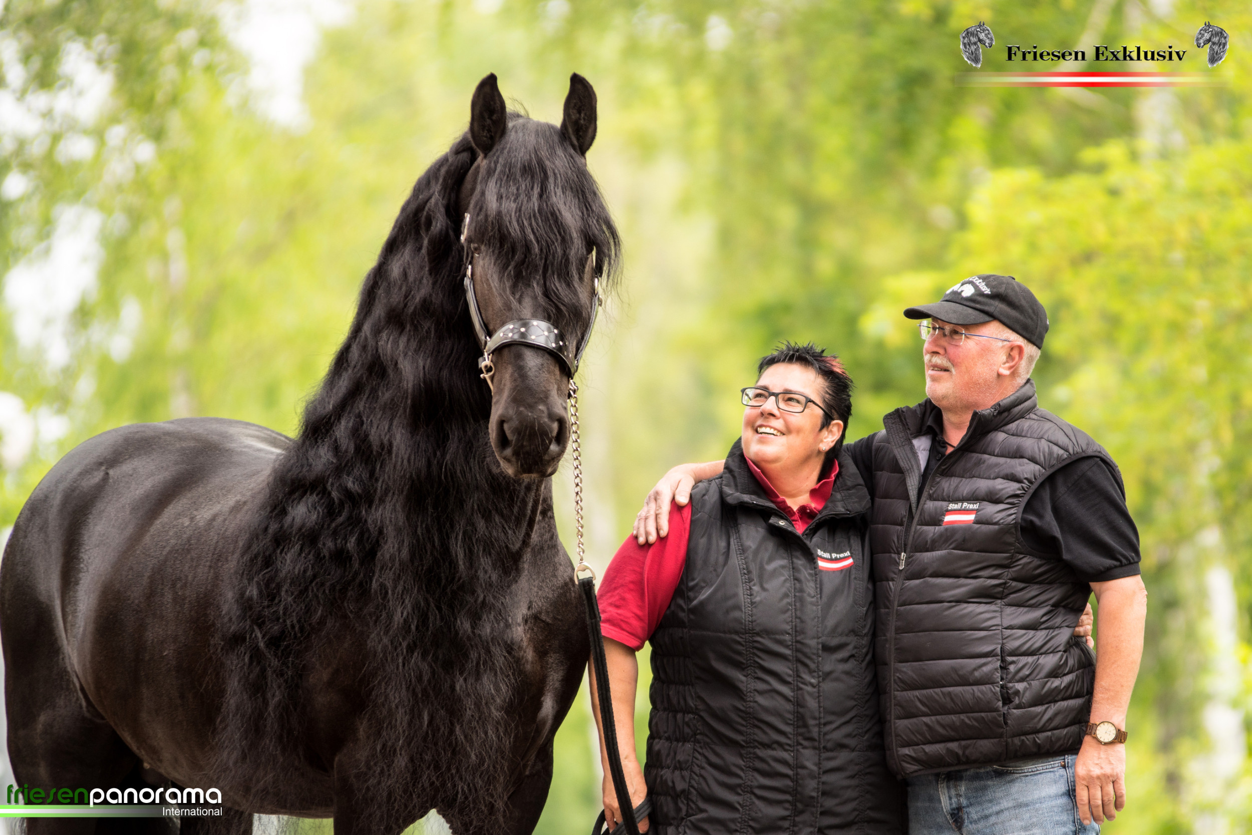 Black Power - Kraft und Eleganz der schwarzen Pferde