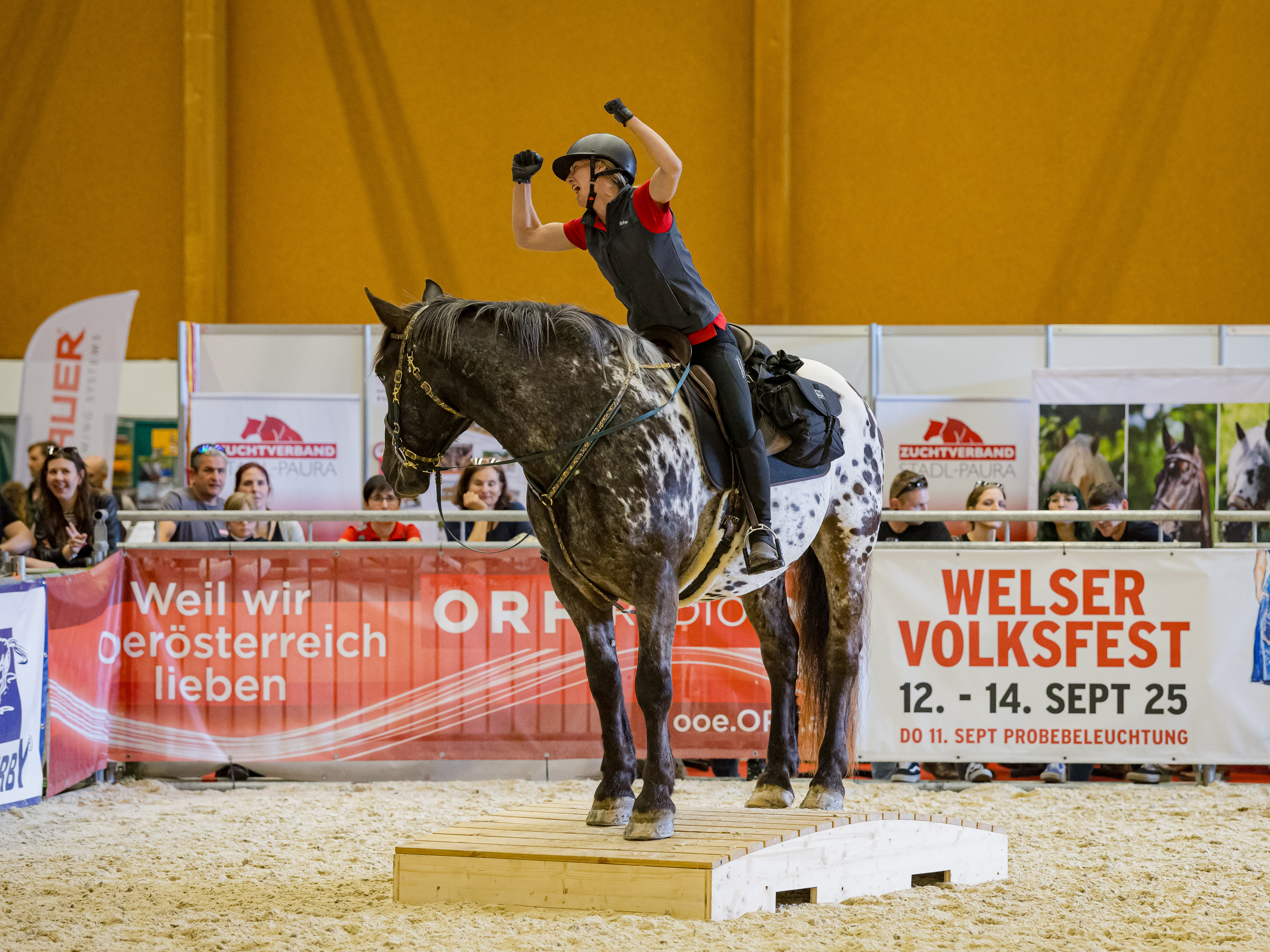 Abenteuer auf vier Hufen -  Wanderreiten im Salzburger Land
