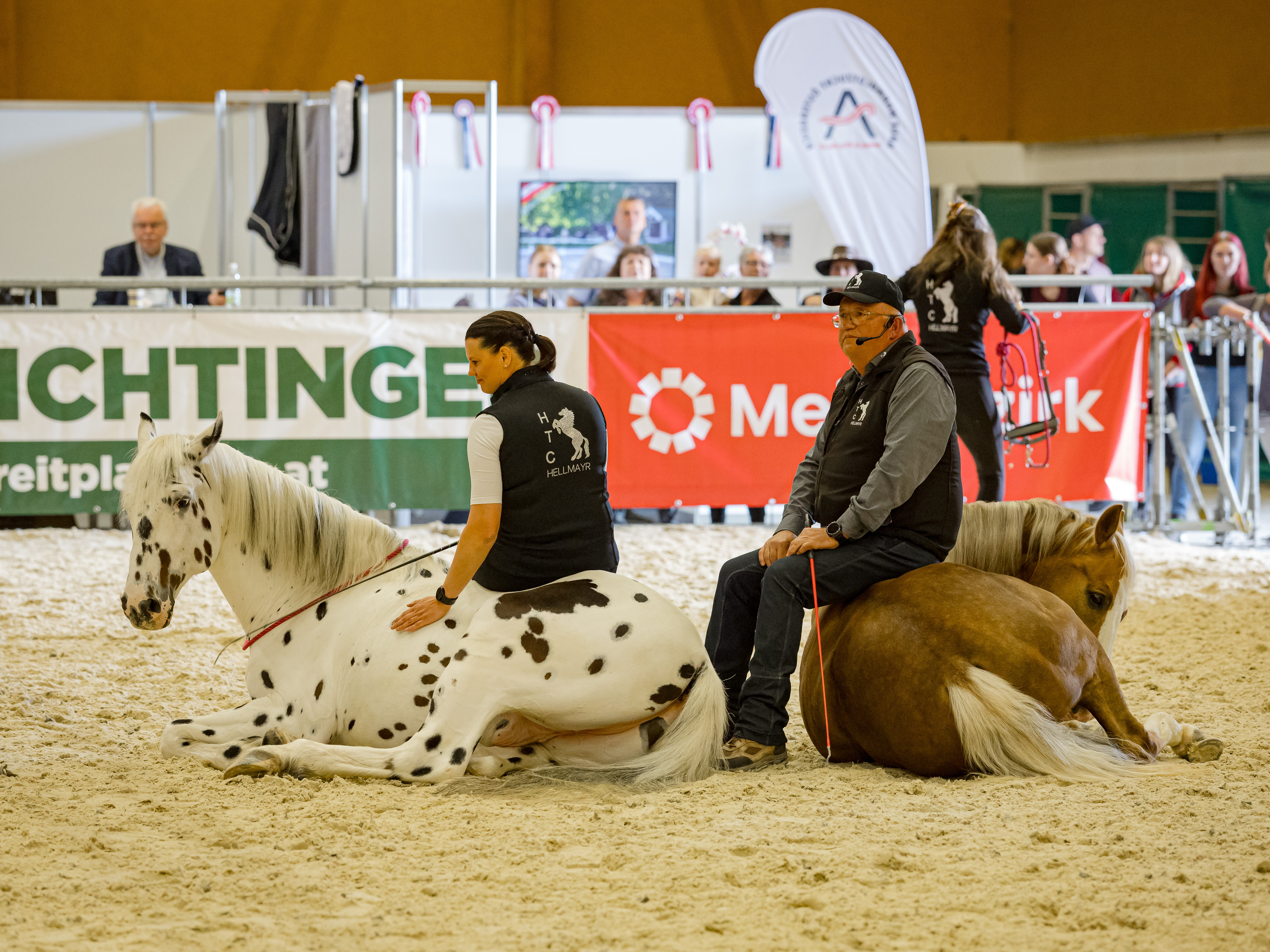 Pferdenatur - Artgerechtes Training